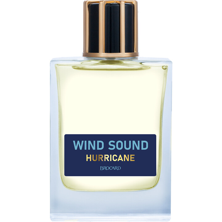 Wind Sound - Hurricane